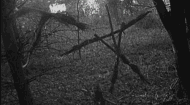 Paranormal Stories